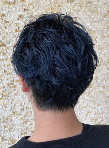style0018_3