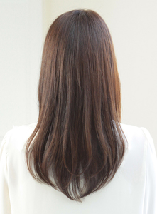 style0066_3